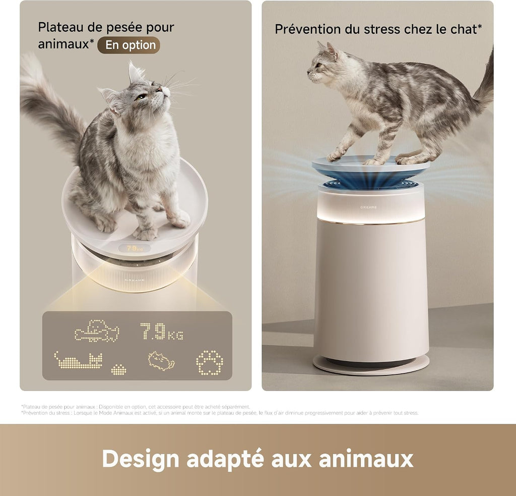  DREAME FP10 Purificateur, Autonettoyage Actif, LoopBoost, Nettoyage 360°, Double Action CataFresh, Filtration 6 Couches, Spécial Animaux, Design Technologique